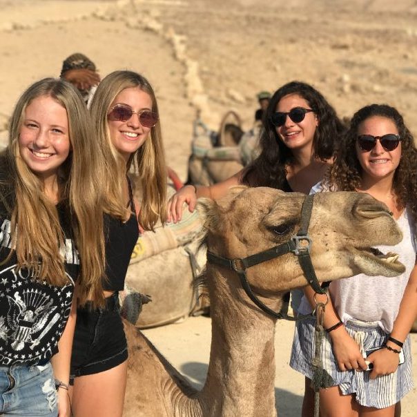 Programas en Israel